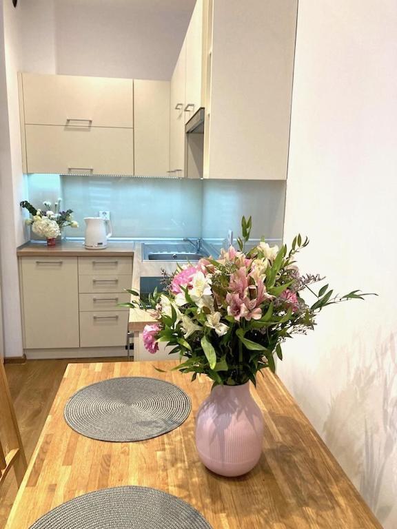 Apartment Novum Rakowicka Street كراكوفيا المظهر الخارجي الصورة