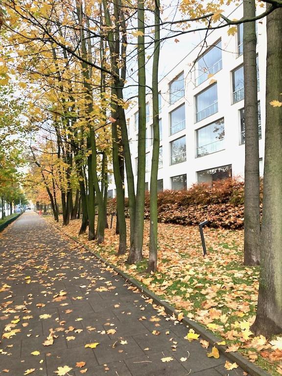 Apartment Novum Rakowicka Street كراكوفيا المظهر الخارجي الصورة